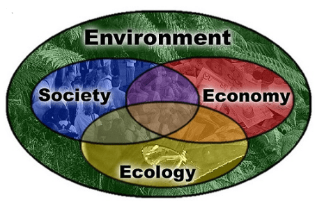 Difference between environment and ecosystem