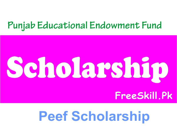 Peef Scholarship