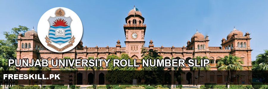 Punjab University BA BSC Roll No Slips
